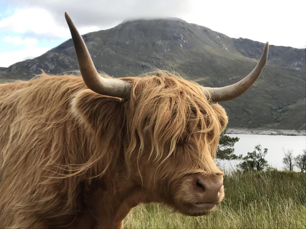 Caledonian Cabin Invergarry Eksteriør bilde